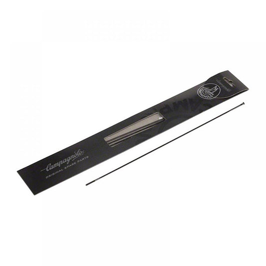 CAMPAGNOLO 4 Radios Wto 60 Db Delantero Izo/ Trasero Dcho - CAMPAGNOLO | ARS Bike Parts