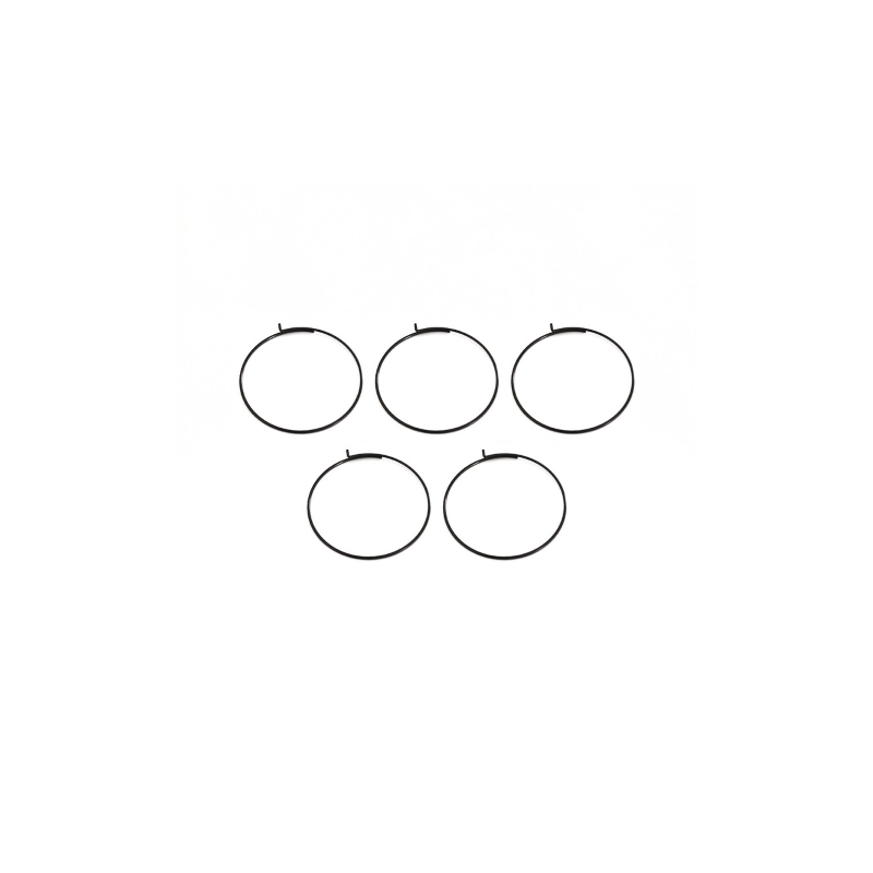 Fulcrum 5 Resortes Nucleo Cremallera 33mm 5-rm0-005 - FULCRUM | ARS Bike Parts