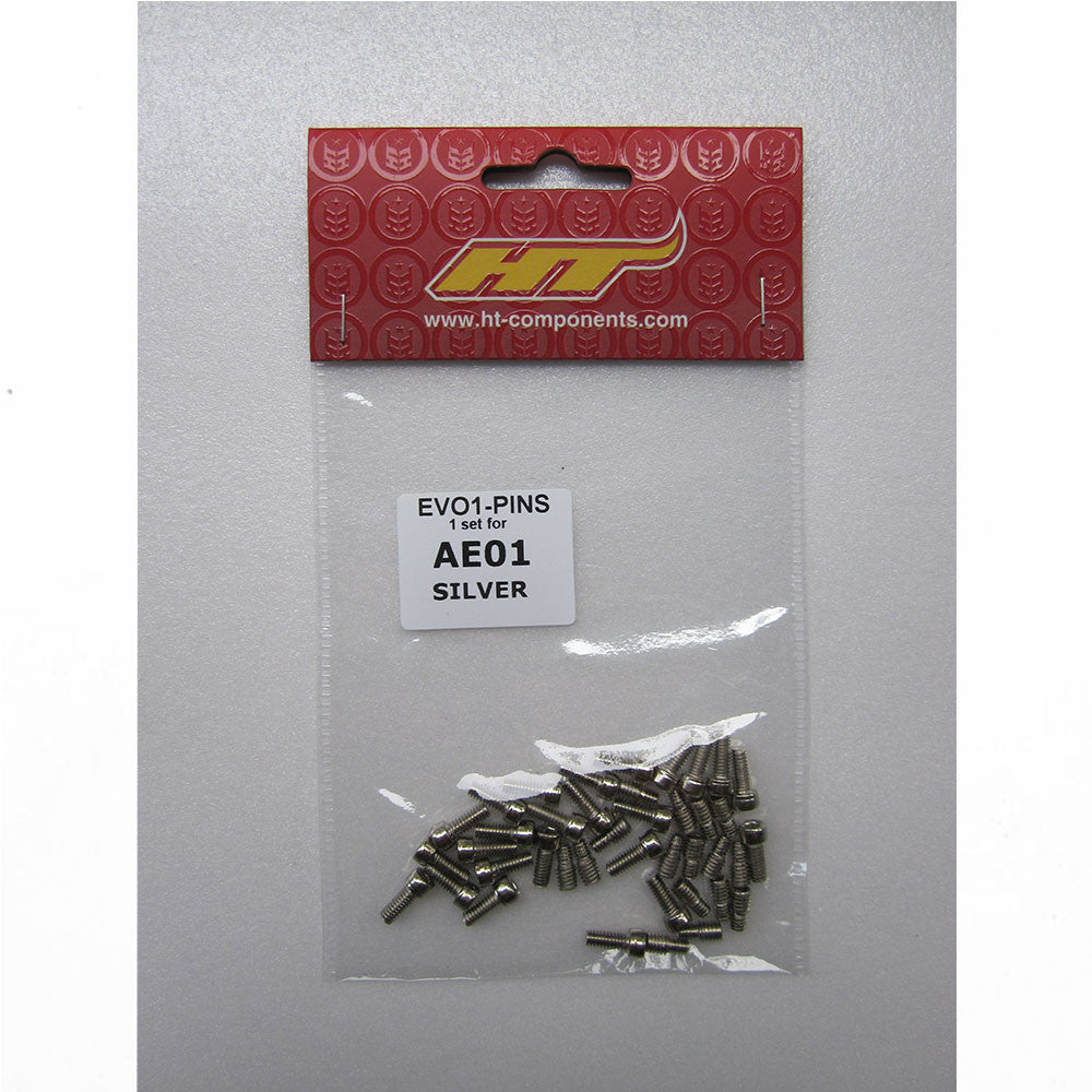 HT Components Pins Pedales HT AE01, ME01 (plata/modelos Antiguos) - HT Components | ARS Bike Parts