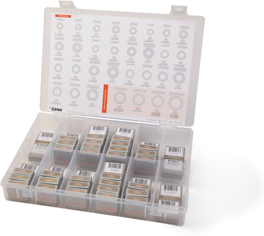 Caja de Rodamientos para Buje Surtidos 50 Uds - Acero al Cromo