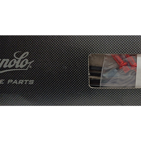 CAMPAGNOLO Kit 4 Radios Tras Compl Dcho Vento - CAMPAGNOLO | ARS Bike Parts