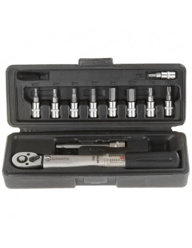 Llave Dinamometrica Mighty 2-24 Nm Allen 3-10 U.t
