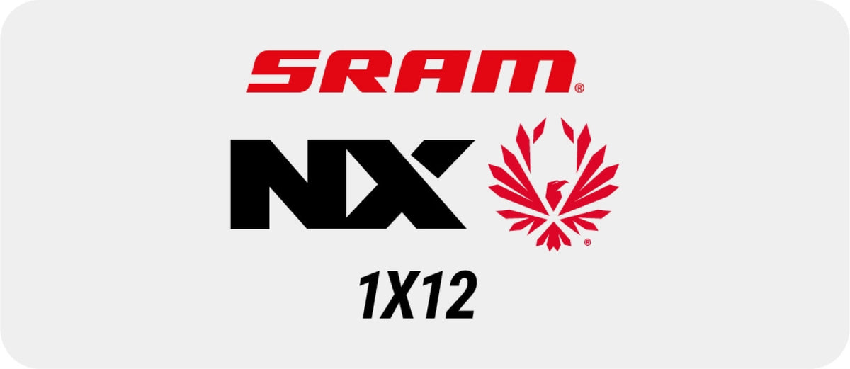 Grupo SRAM NX Eagle