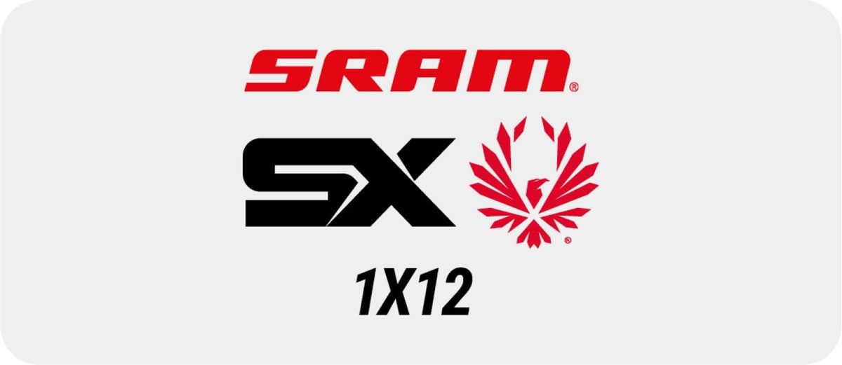 Grupo SRAM SX Eagle