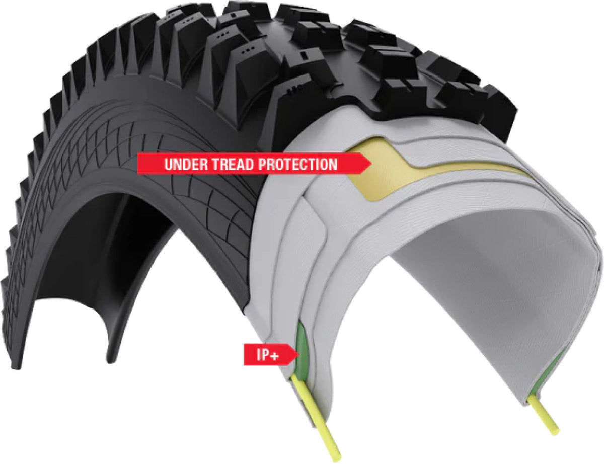 Verdict  2.5 X 29" 60tpi Tritec Ip+e50 / Tough Hg Black